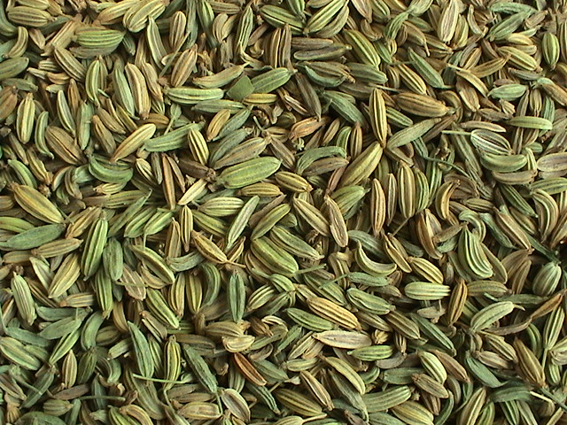 fennel